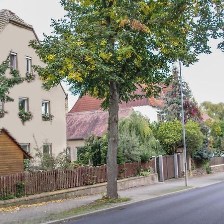 Pension Muldental Grossbothen Grimma Bagian luar foto