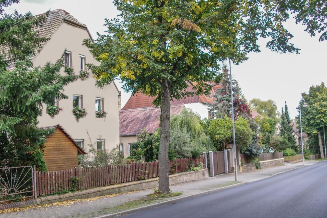 Pension Muldental Grossbothen Grimma Bagian luar foto
