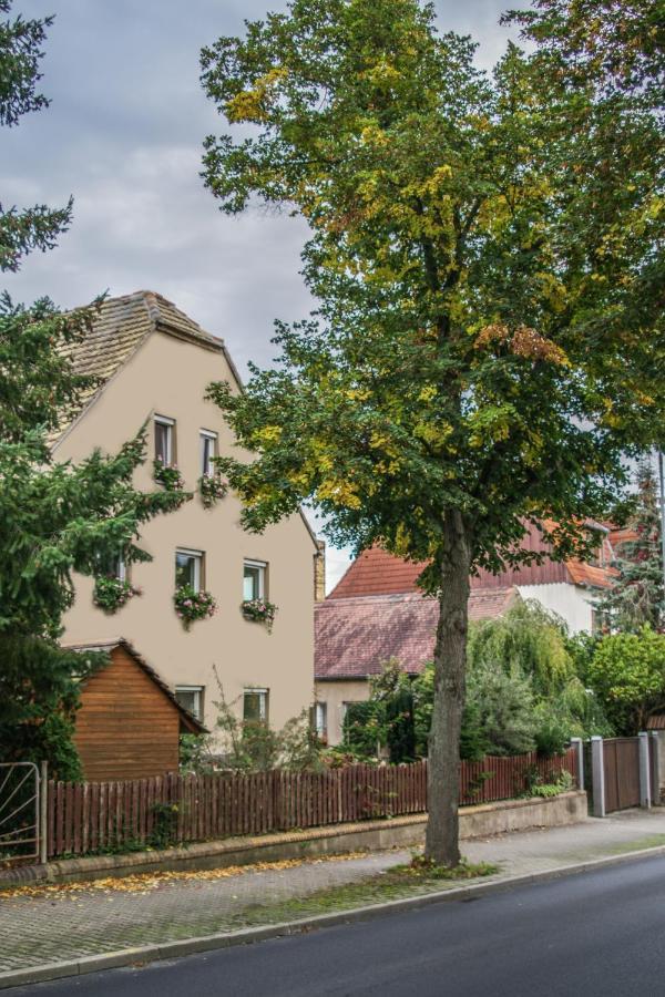 Pension Muldental Grossbothen Grimma Bagian luar foto